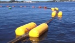 Twin Inflatable Buoyancy Bags